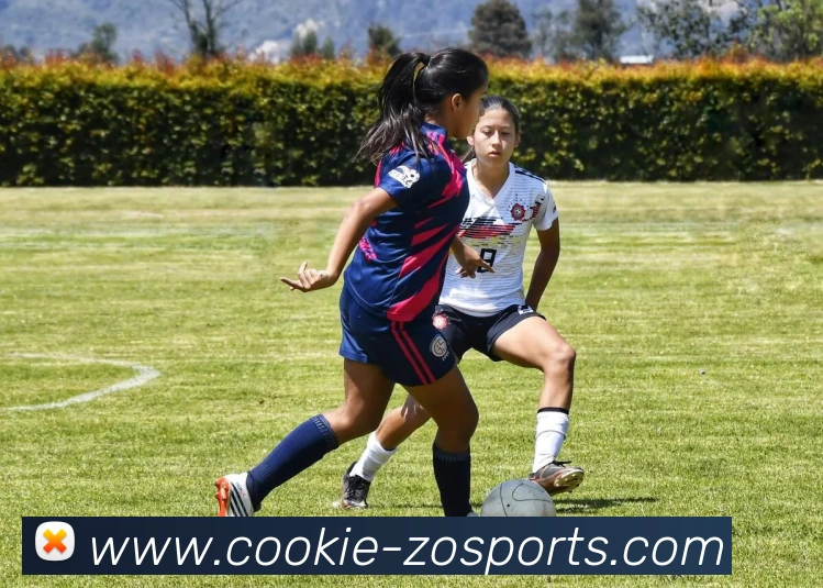 中欧体育平台生态图