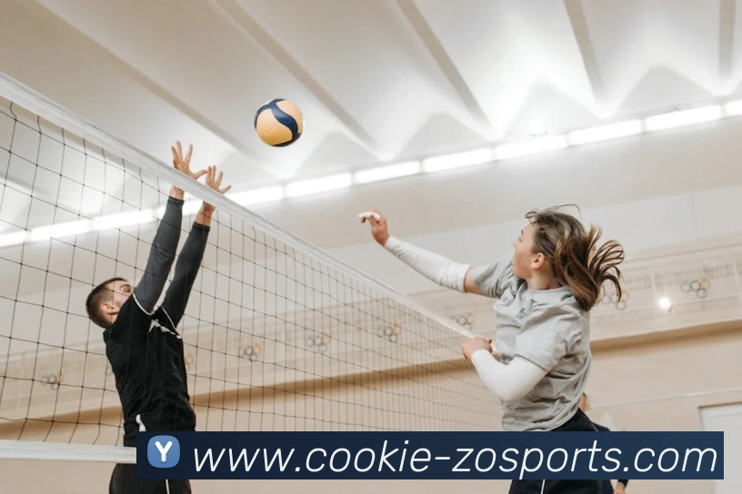 中欧体育全站App